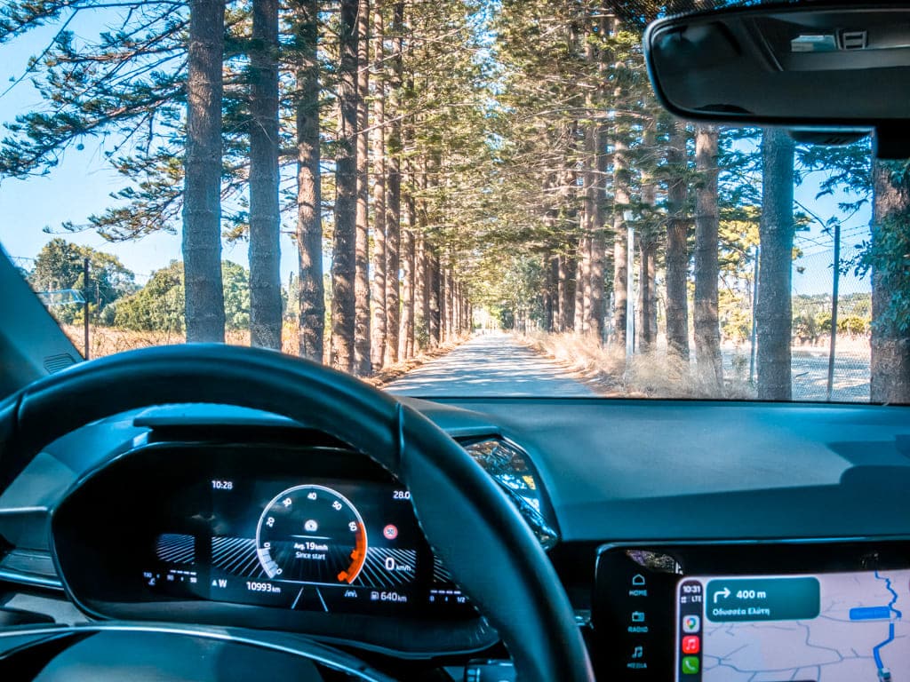 Car and driving Rhodes narrow street with pine trees