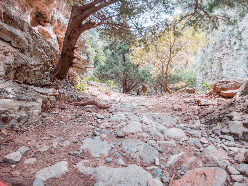 Samaria kloof wandelen Kreta wandeling door een kloof
