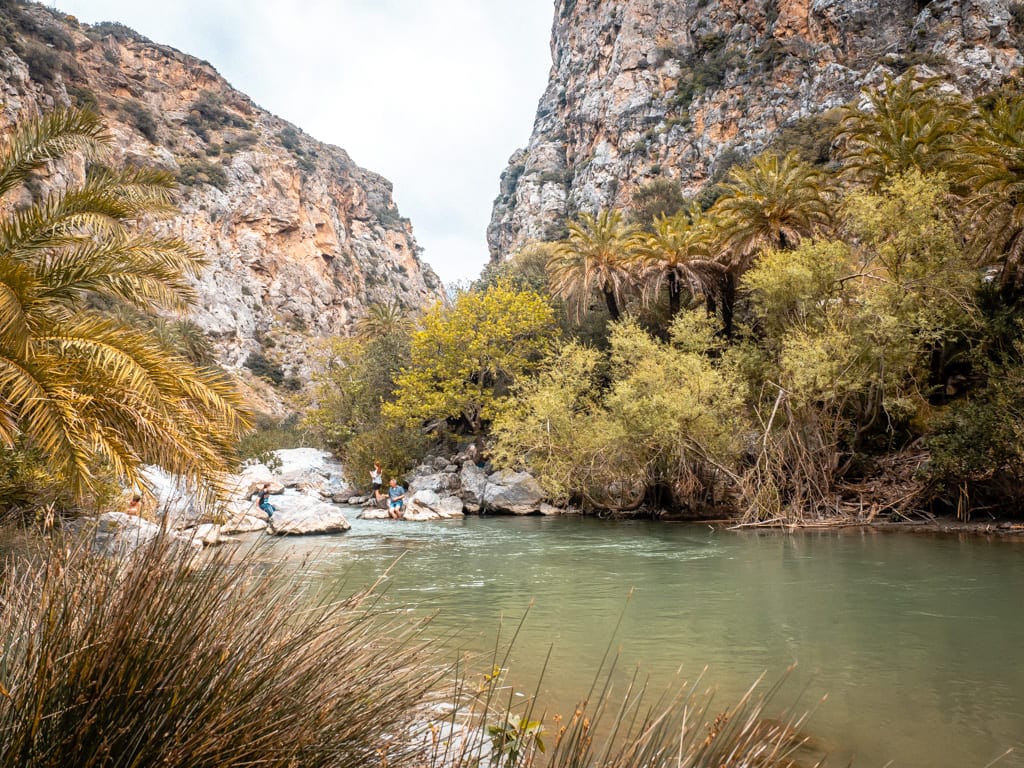 Preveli Palmbos