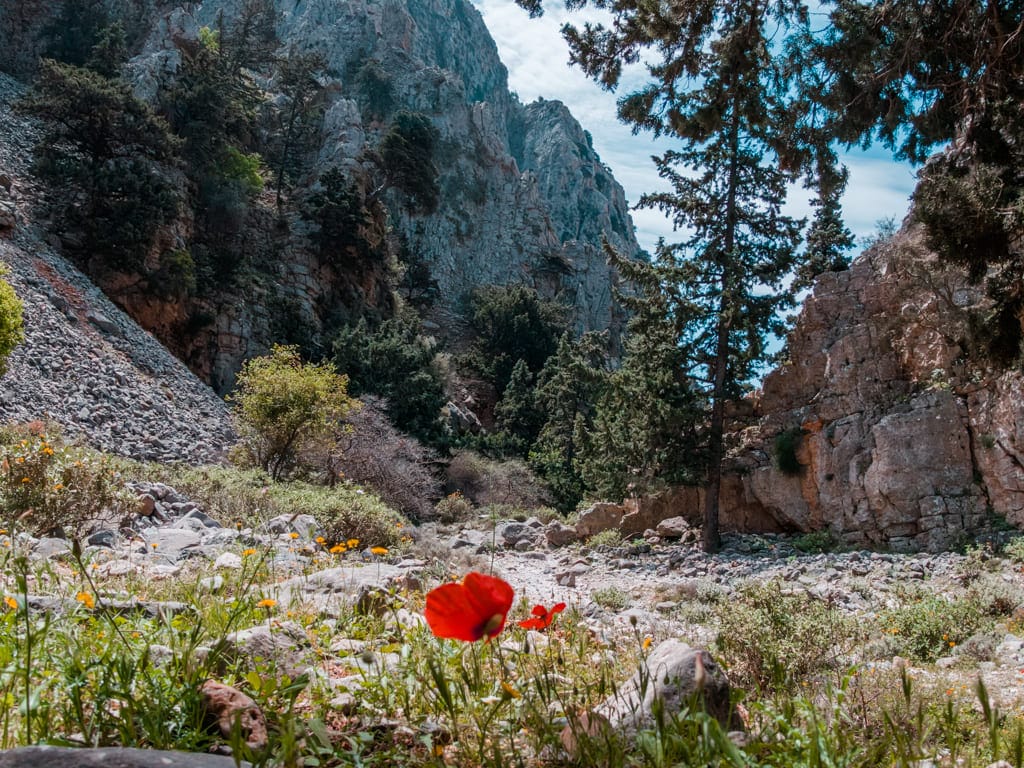 Zakros kloof wandelroute Kreta in de lente