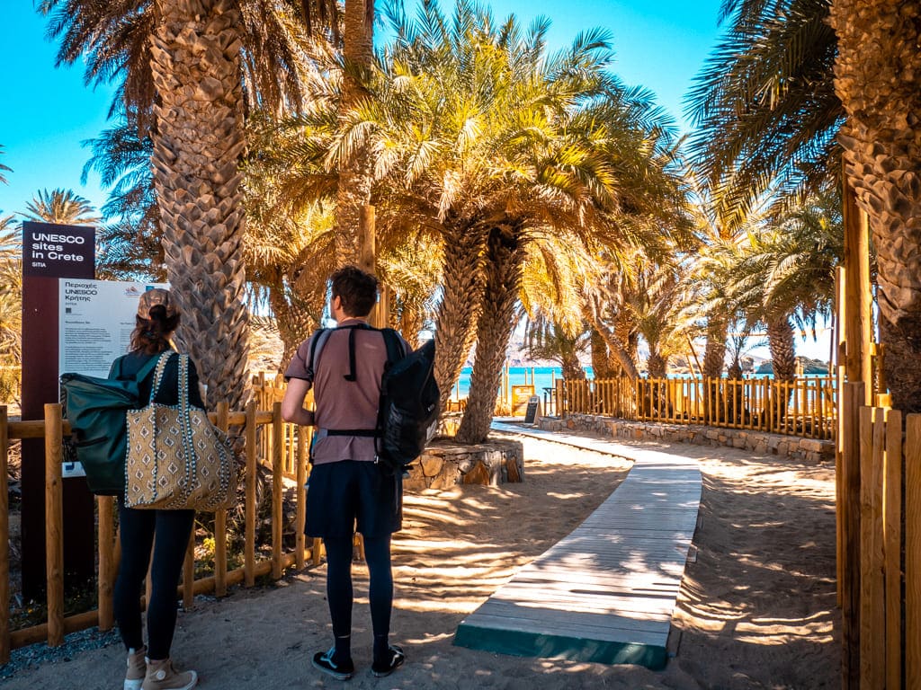 Vai Palm Beach Creta Grecia