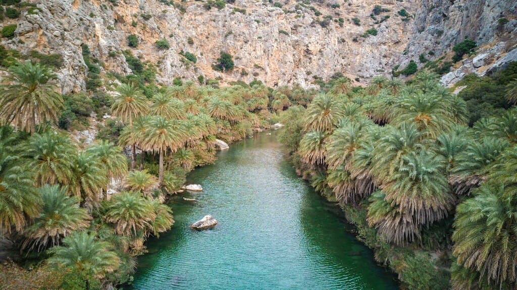 Plage de Preveli avec forêt de palmiers dans l'ouest de la Crète