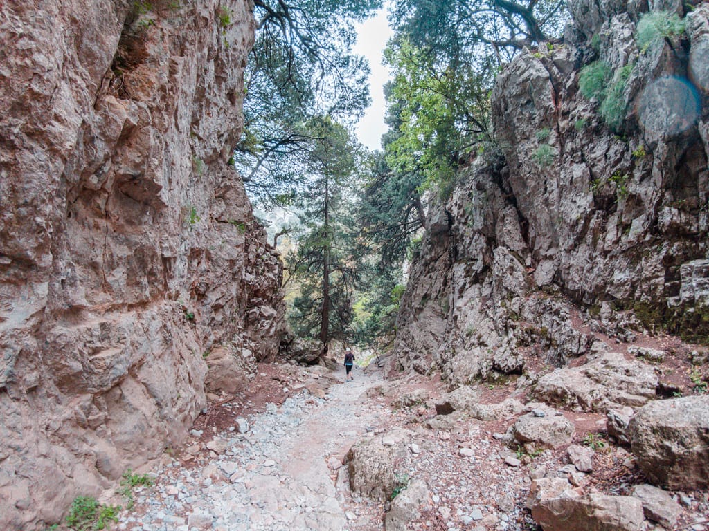 Samaria-ravinen på Kreta